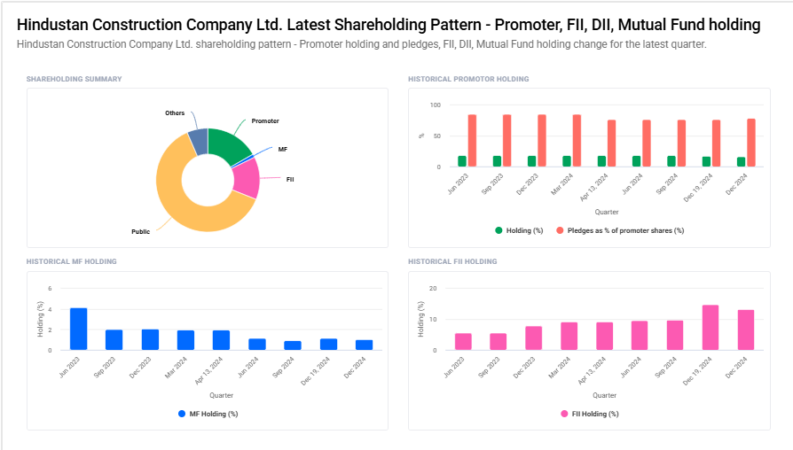 HCC Shareholding Pattern