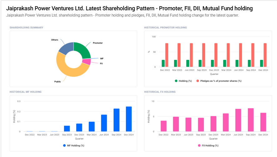 Jaiprakash Power Shareholding Pattern1